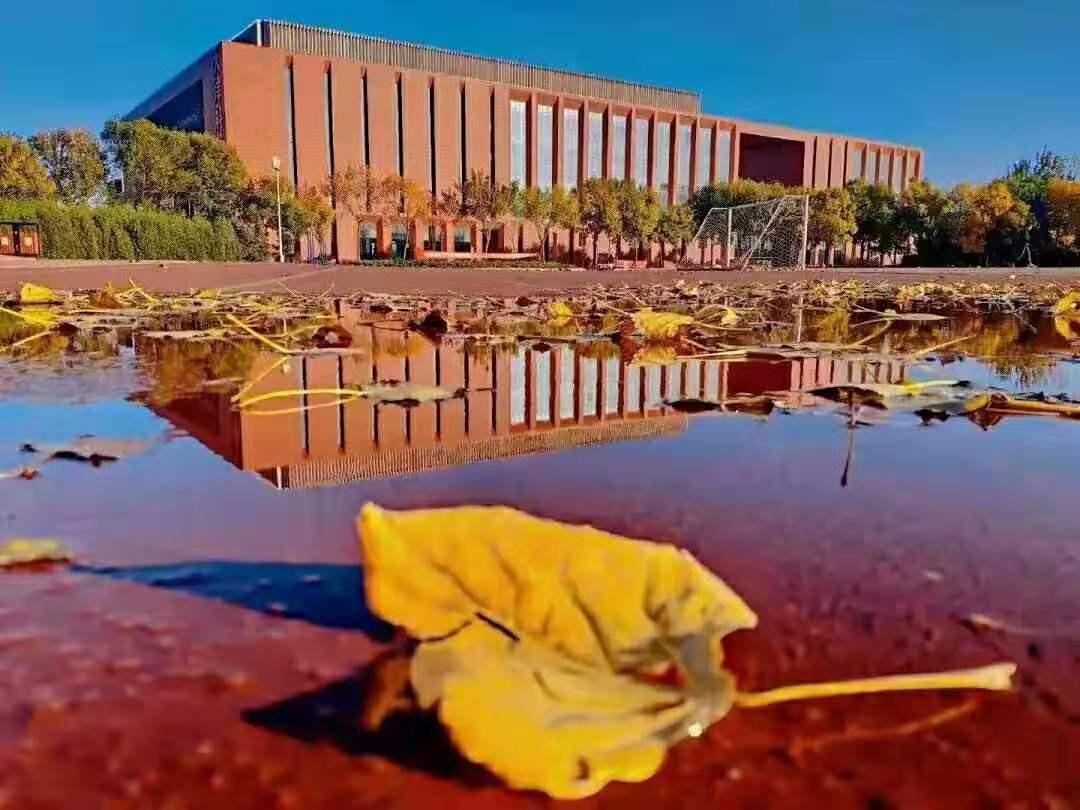 或许，这所高校就是全天津最