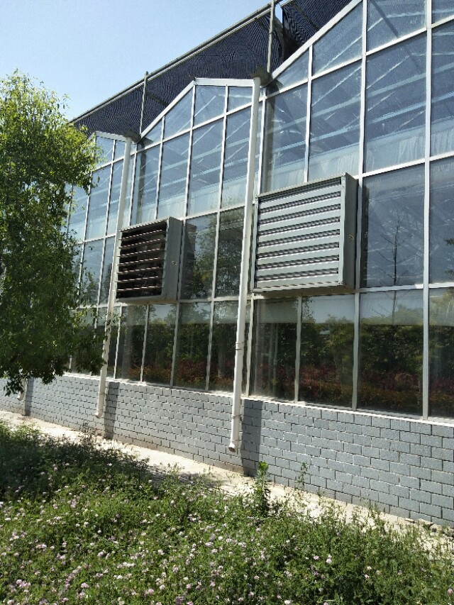 玻璃温室大棚造价多少钱