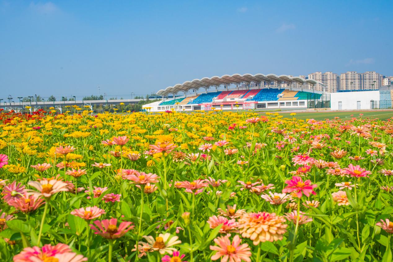 中国药科大学和中国医科大学，两者没有可比性，不在同一档次？