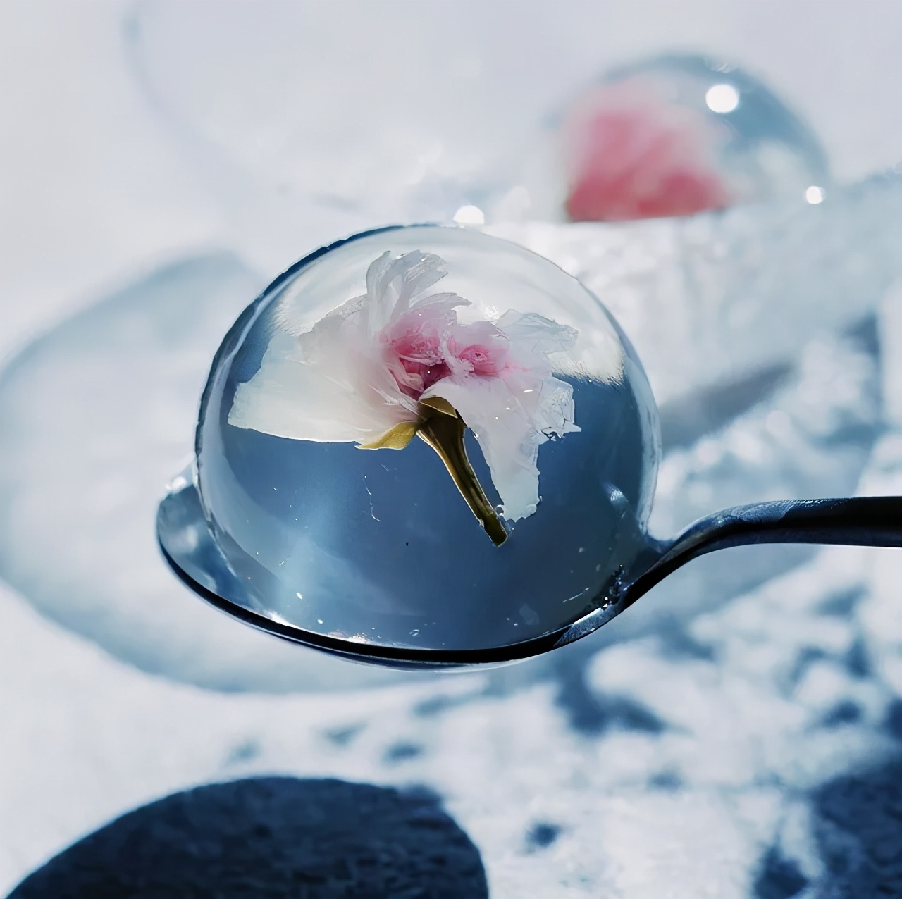 寒天粉「寒天粉和吉利丁粉区别」