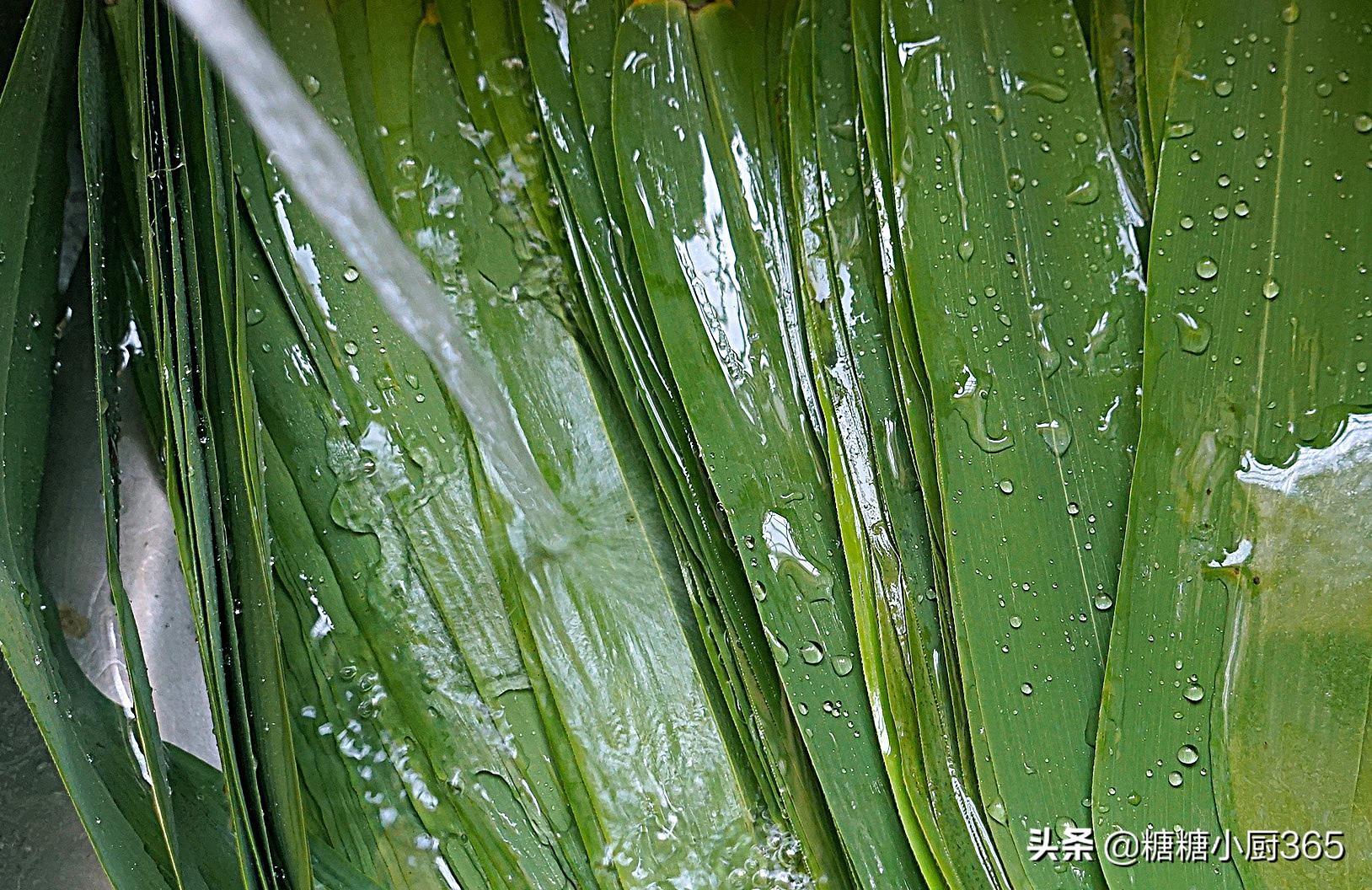 这三种粽叶储存方法别错过，一年四季都可以包，我家每年储存10斤
