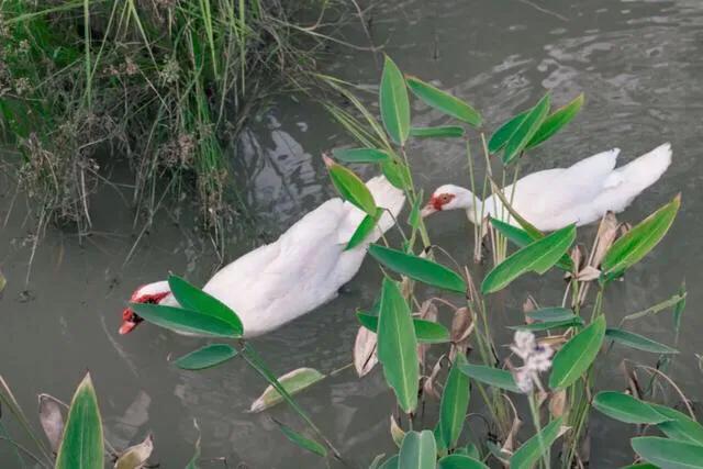 深圳十大免费特色创意园，有趣又好看