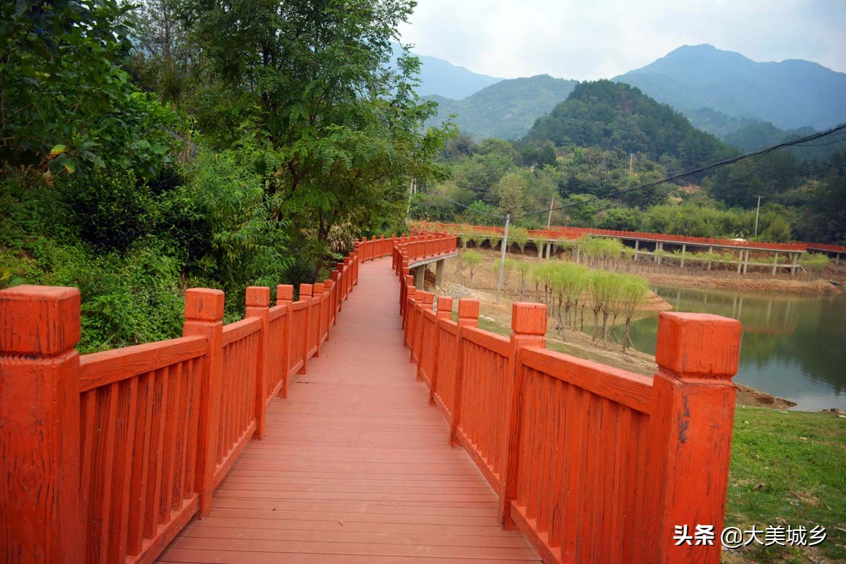 农村人在水边建栈道，散步如旅游，采茶似逛公园