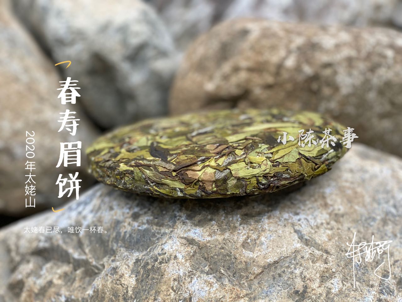 撬白茶饼的错误方法，老虎钳我忍了，微波炉加热是什么操作？