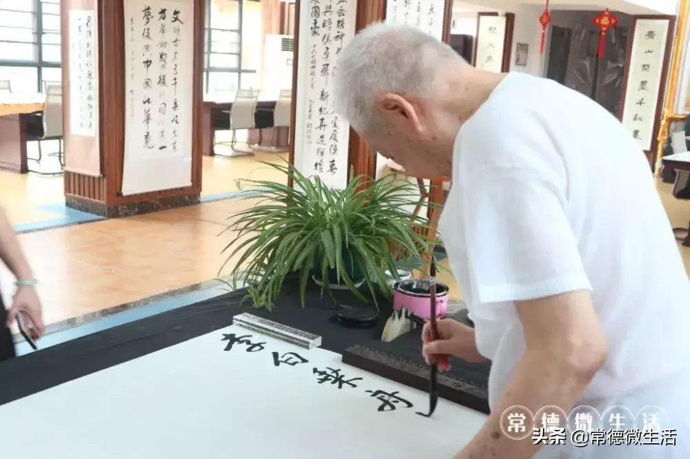我想和你在常德的养老院里慢慢变老