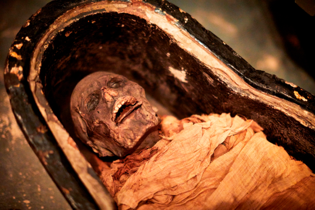 内西门木乃伊的声音(来自3000年前的声音,科学技术让古埃及木乃伊声音