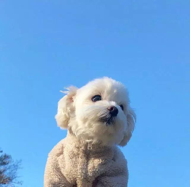 朋友圈正能量唯美句子，简单干净，句句走心