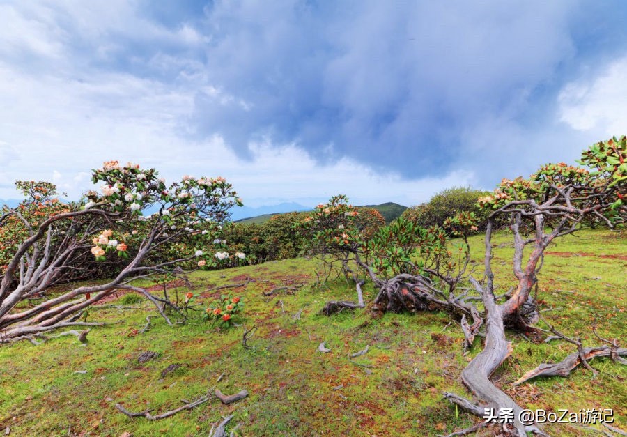 到四川乐山市旅游不能错过的10个景点，你去过几个？最爱哪个景点