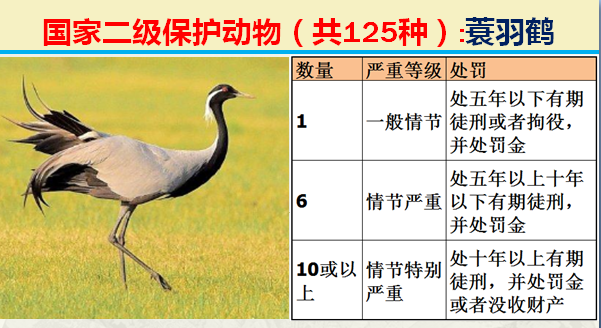 国家保护动物分几个等级（125类二级野生保护名录）