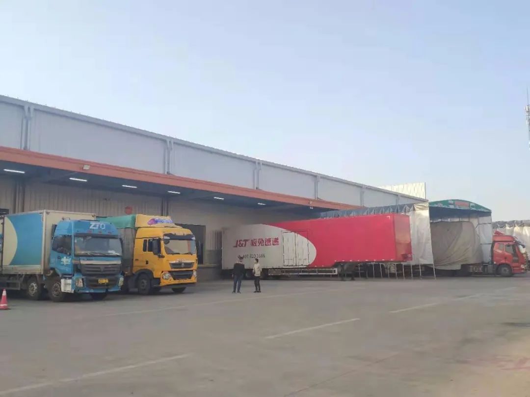 极兔打价格战日均补贴1亿，顺丰扛不住首现亏损，中小企业倒闭