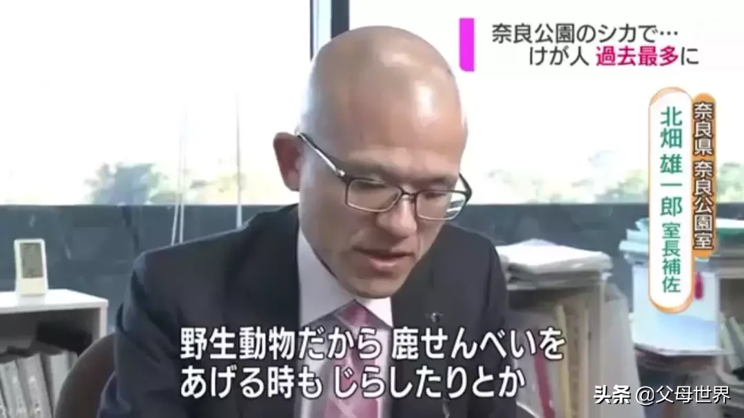 奈良小鹿一年伤了209人!8人骨折!原来鹿有这个反应是攻击的意思