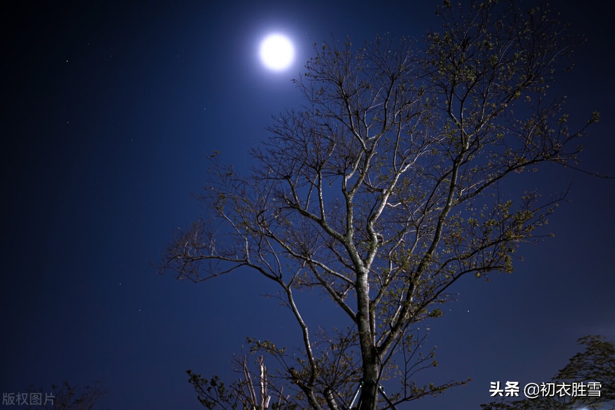 寒夜冷月的图片图片