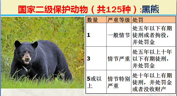 二级保护动物（国家最新125类二级野生保护名录）