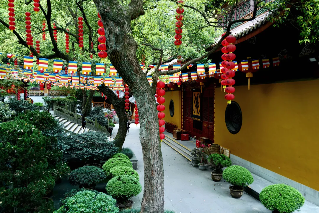 杭州终极拜佛攻略｜走这条路，一天解锁灵隐法喜7大宝藏寺庙