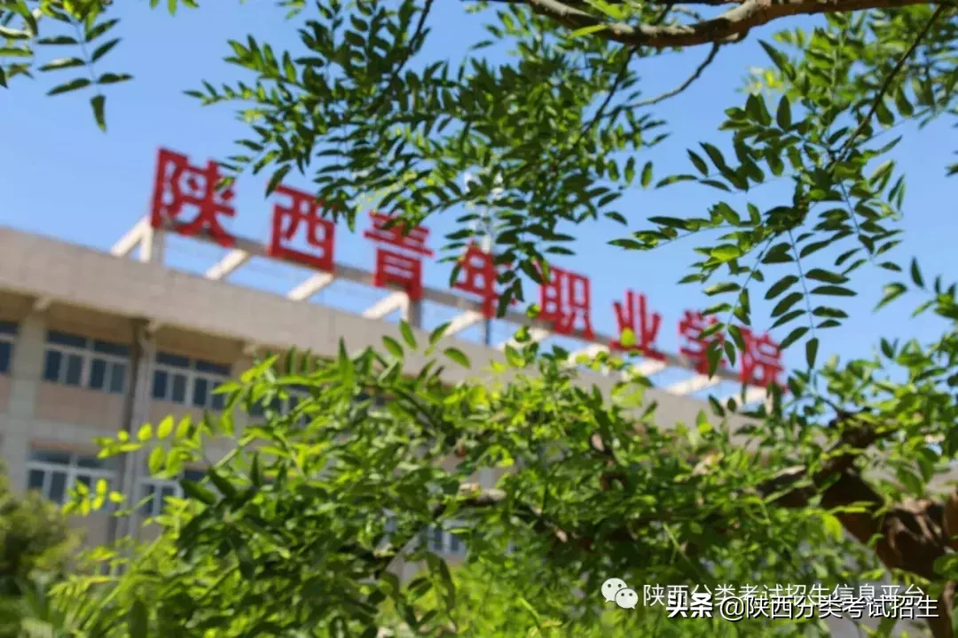 【国家公办】陕西青年职业学院2019年分类考试招生简章及院校介绍