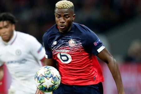 尼日利亚国家队（两大金靴射手领衔，2米02射手坐镇：尼日利亚国家队要再度崛起？）