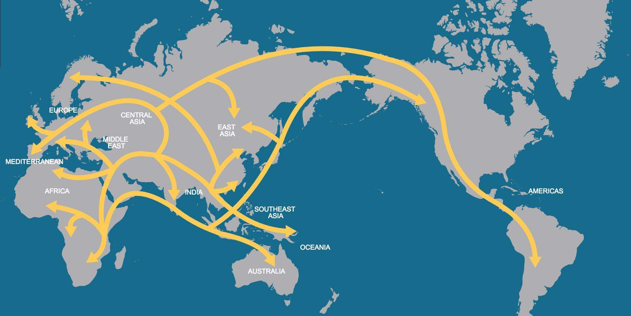 走出非洲后,人类曾与神秘物种杂交,科学家:基因表明或不是人类