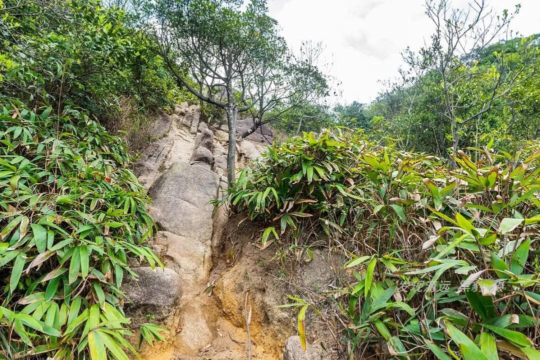 承德甲山花岗岩辐射报告(广东有座山峰盛开了罕见的船花，漫山遍野花团锦簇)