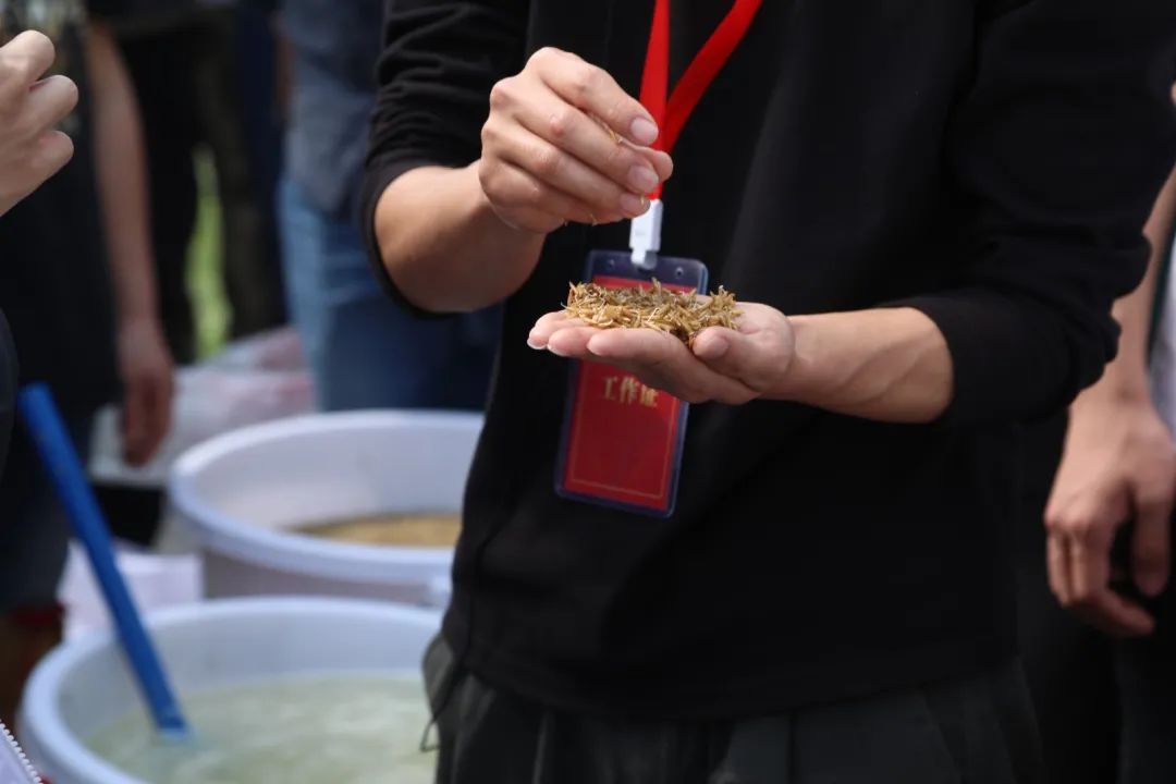 从化｜打造产学研高地，中山大学农学院助推街口谱写乡村振兴新篇章