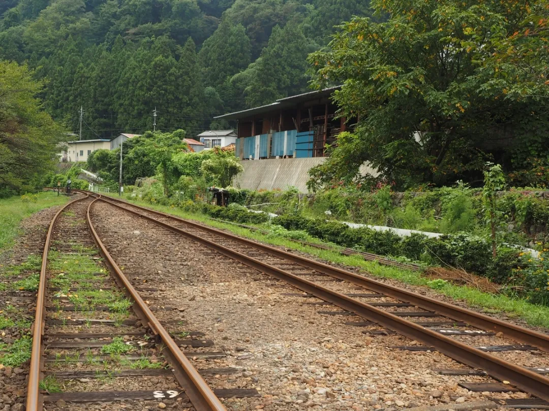 被父母家暴后，13岁男孩离家出走到深山，一呆就是43年