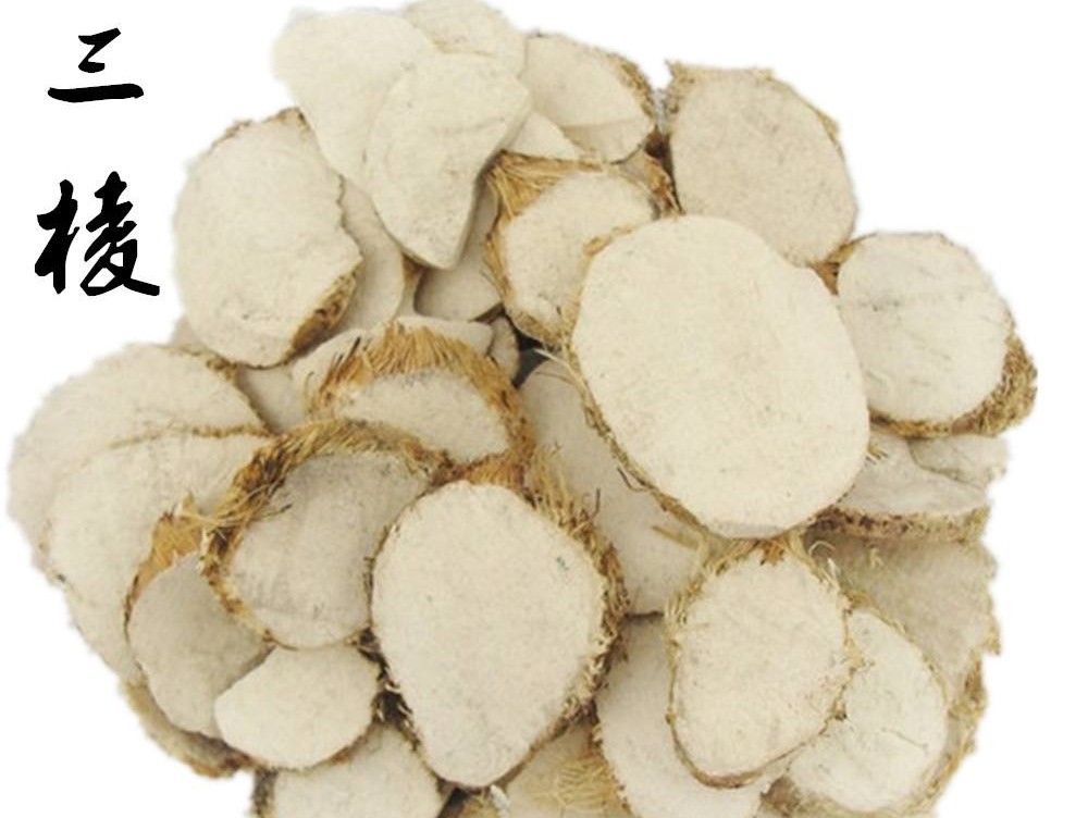 《本草精荟》:三棱,莪术的功效与应用