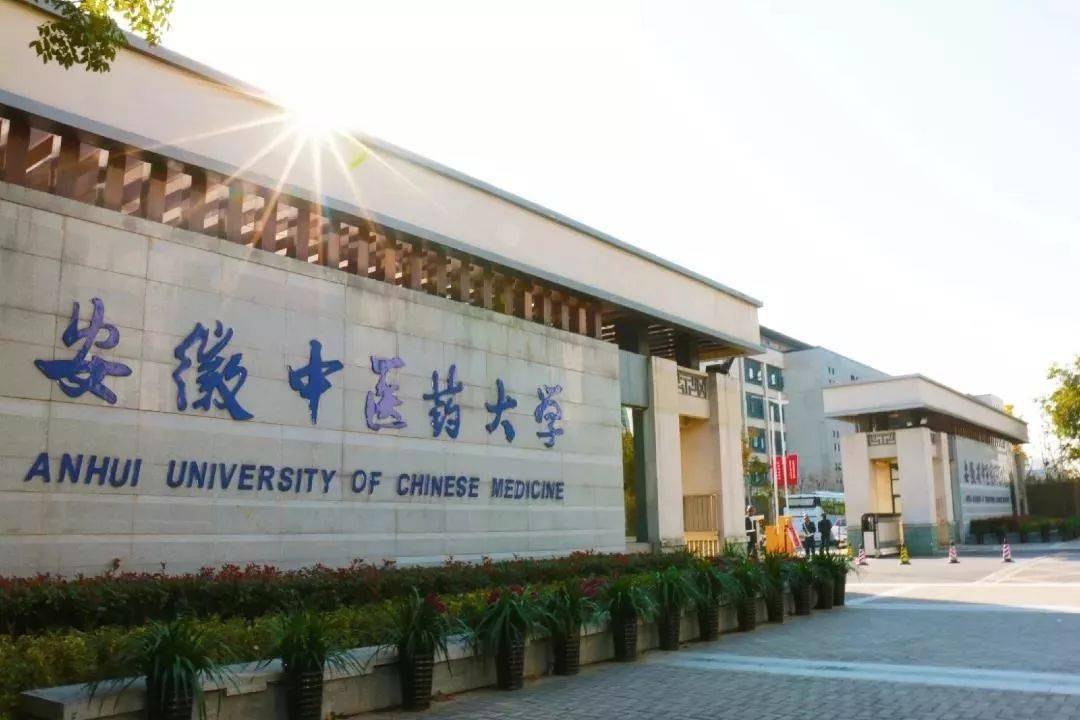 安徽连丢了两张身份证的考生，高考成绩怎么样？考上本科没有问题