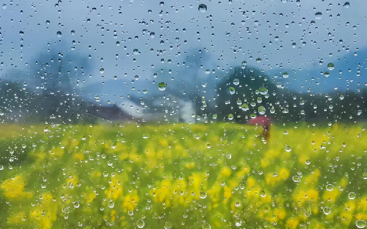 可怕的古人！《诗经》里关于雨的10首诗，已将雨的5种意境写尽