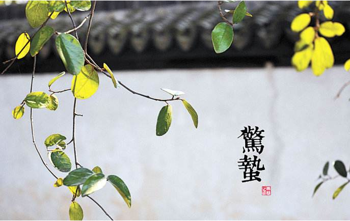 明天就是惊蛰了，关于惊蛰的这些风俗，你知道吗？