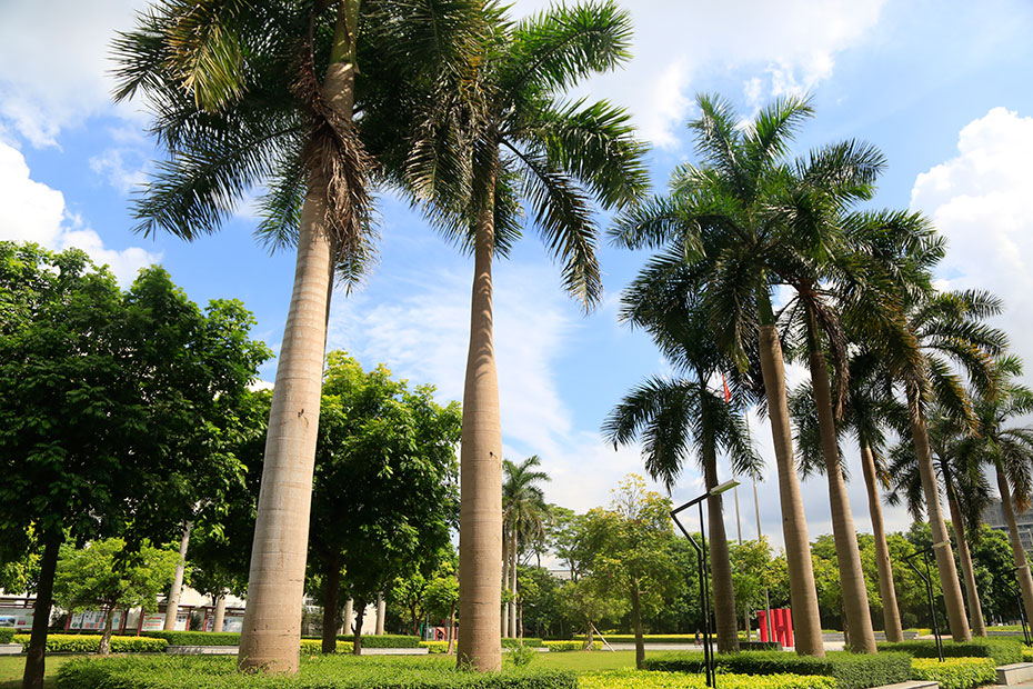 配得上“国家脊梁”的大学有哪些，这三所应该毫无悬念