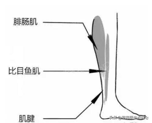 关于瘦肩针、瘦腿针，你想知道的都在这里！