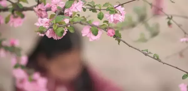 最闲十首古诗:静听花落,坐看云舒!