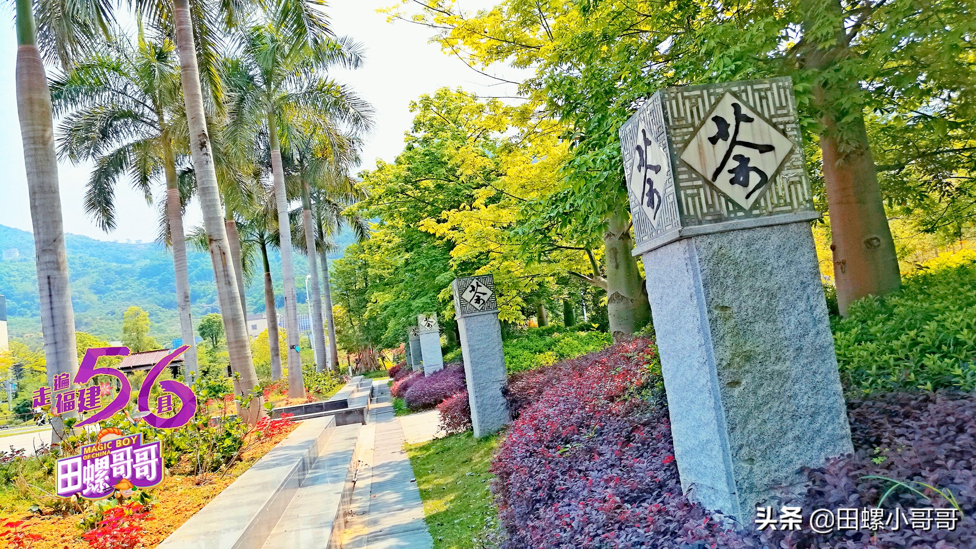 中国第一所，也是唯一一所本科茶学院，深藏于大山里，清新似茶！