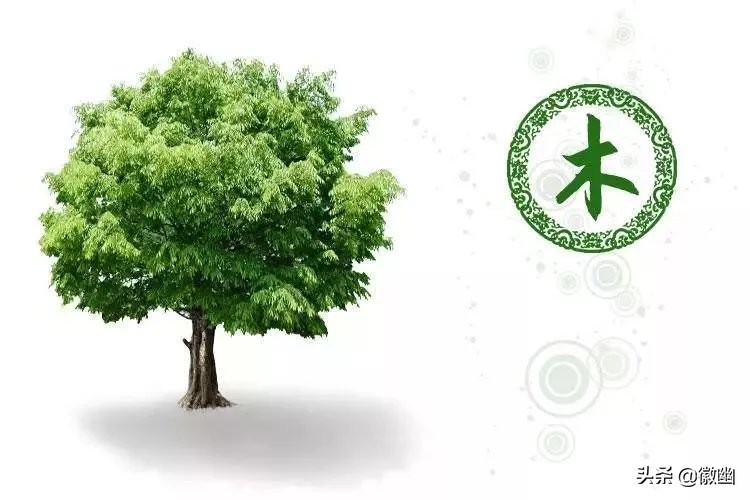 金木水火土,五行你命中缺什么,哪方面就不顺!奇准无比