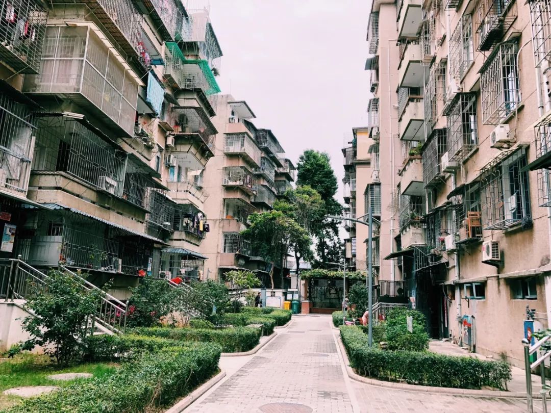 老破小一平10万+！我们走遍厦门18所名校，为你曝光最贵学区房！