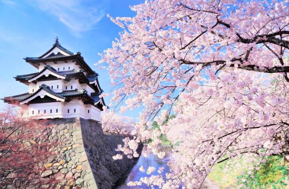 日本城堡名字大全图片(日本的那些“城堡”)