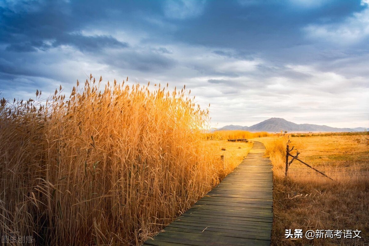 2021年北京东城区高三期末记叙文范文——念想儿