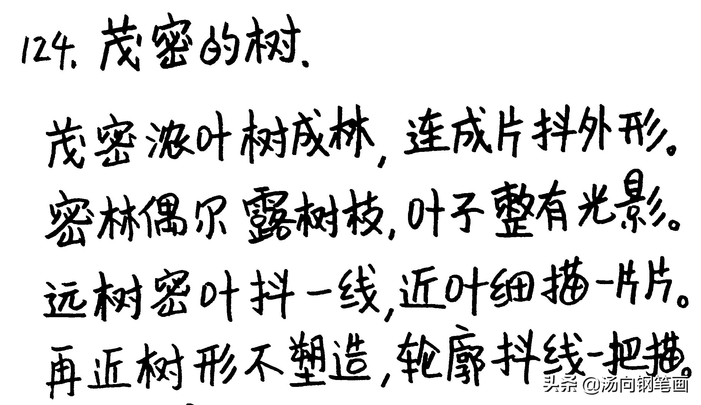 钢笔画零基础学习，茂密的树或树林连成一片，用这种画法表最好