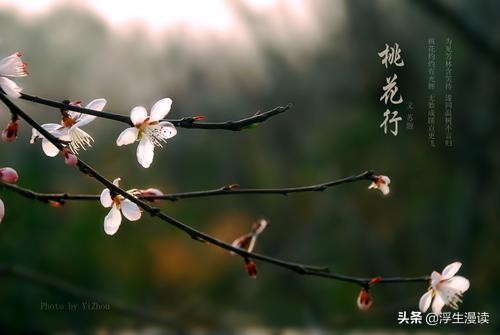 从《葬花吟》到《桃花行》，黛玉的情感和境界发生了哪些变化？