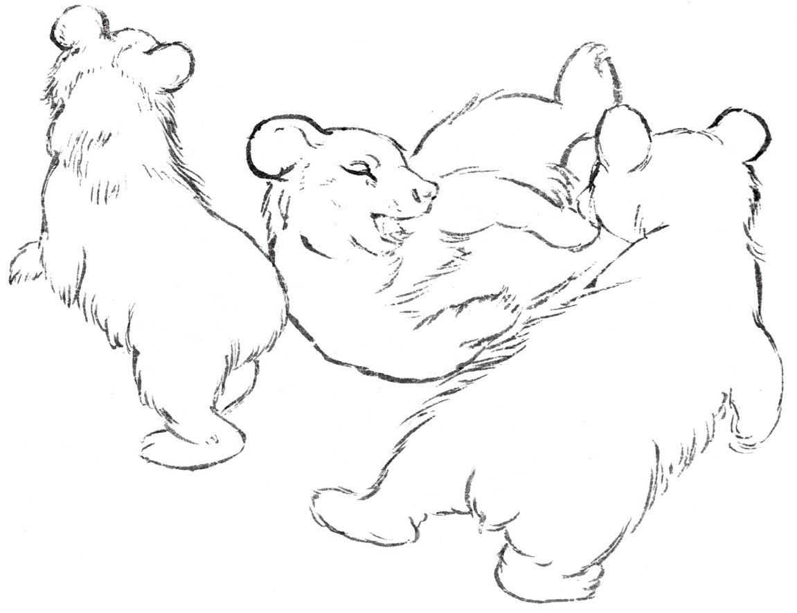 二十种动物绘画结构和方法教程:通过绘画图解,简单易学的绘画