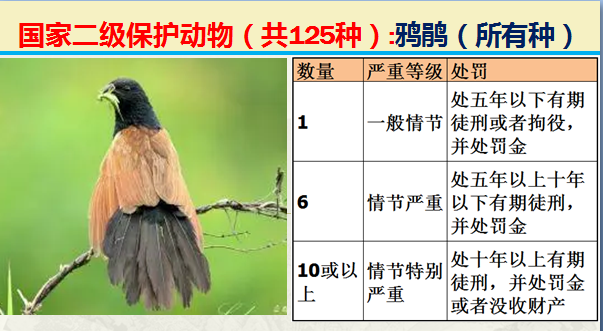 二级保护动物（国家最新125类二级野生保护名录）