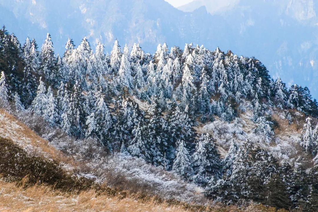 温泉＋初雪，来川内这6个地方邂逅冬季小确幸