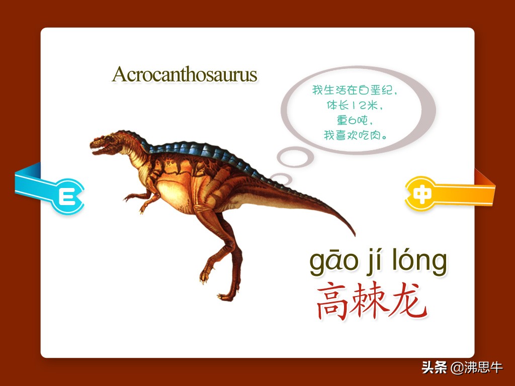 似鳄龙蛇颈龙无齿翼龙喙嘴翼龙冥河龙甲龙剑龙梁龙地震龙板龙三角龙