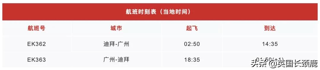 11月起冬季国际客运航班再削减20%，直至明年3月