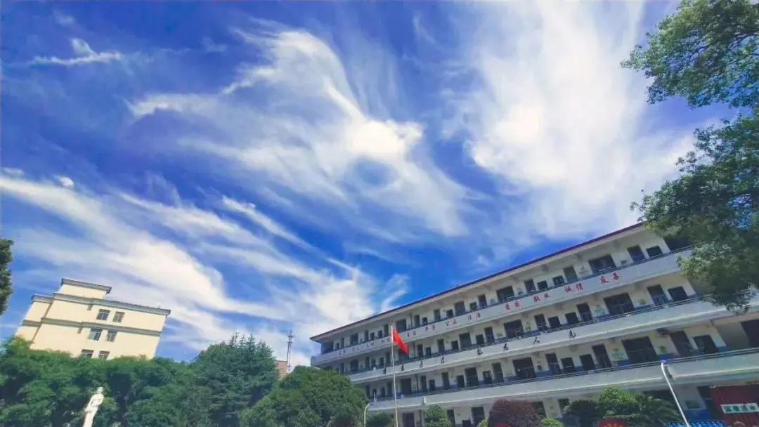 博雅学校怎么样（名校巡礼）