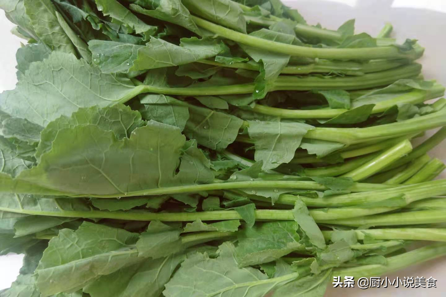 菜心是什么菜（一招教你区分油菜苔和菜心的不同）