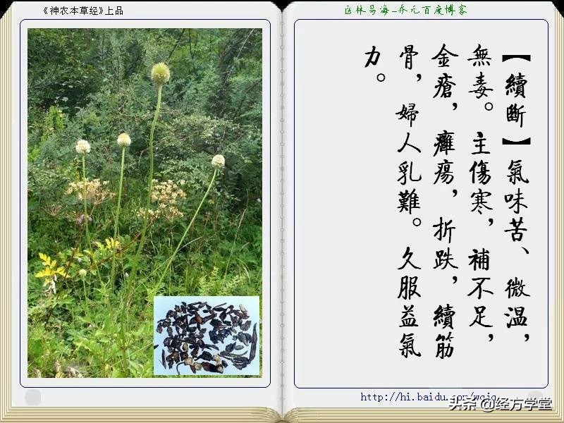 《神农本草经》全册图文解析 建议收藏