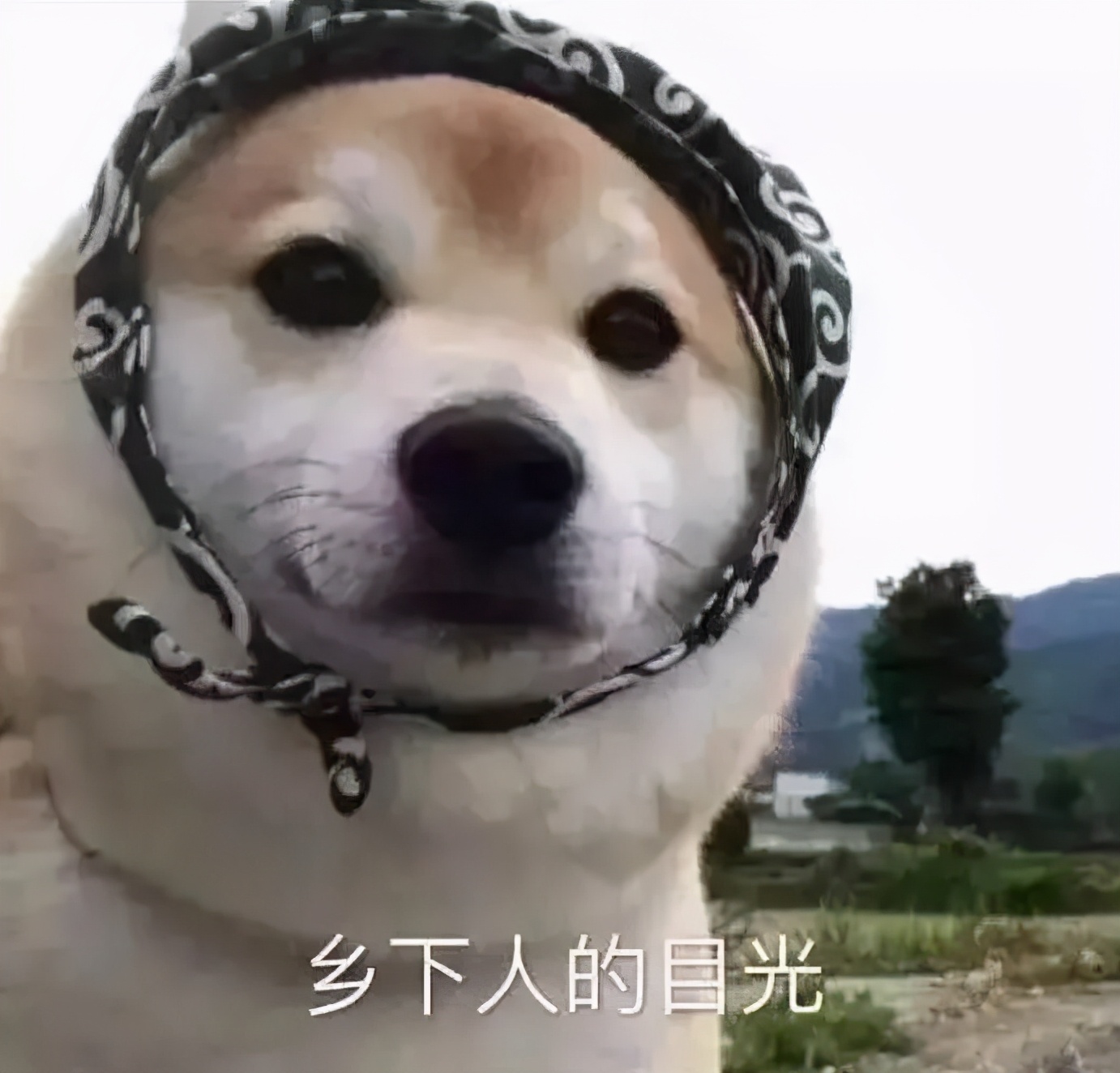 自诩老司机的肉叔,在屏幕前的表情是酱紫的:谢谢,我把它(瓶盖)吸出来