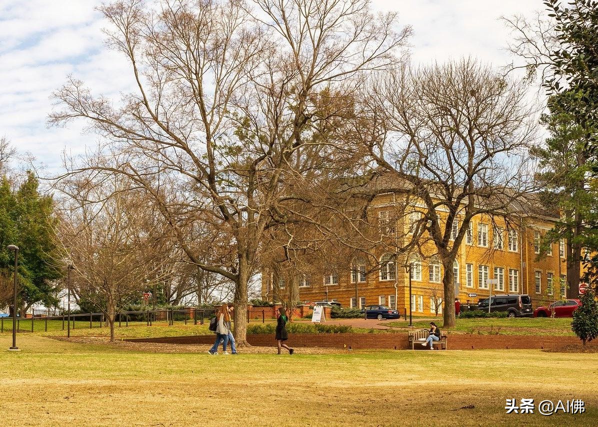 美国50所在大城市的最好大学