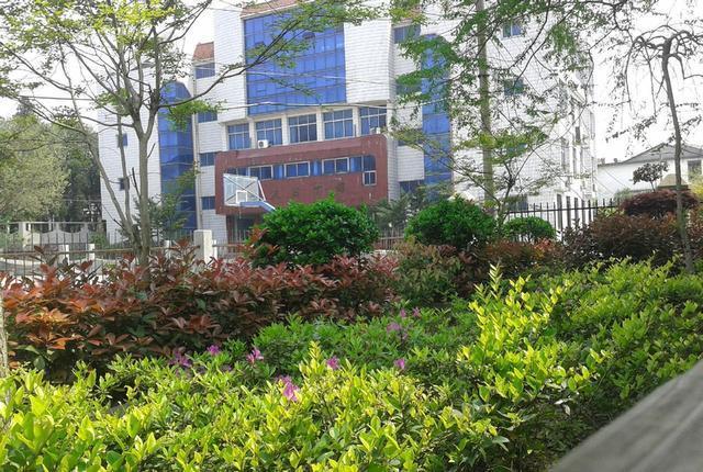 江西抚州这6所高中，实力强口碑好，有两所还进入全国百强