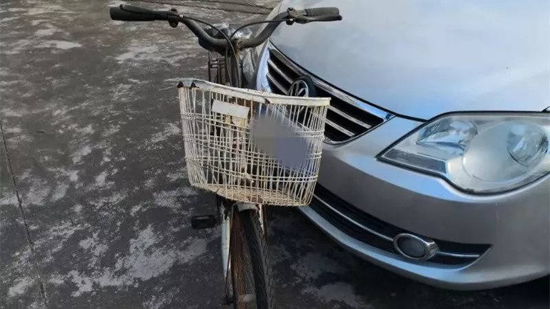 珠海女大学生刚拿驾照，开车回校途中撞死老伯！车上两同学却说没看见！